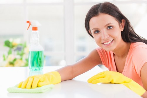 Gutter cleaning service for W11 residential properties