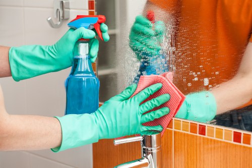 Domestic cleaner working in a W11 period property living room