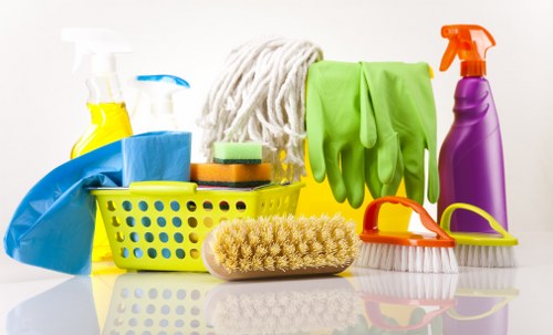 Rug cleaning service for a home in W11