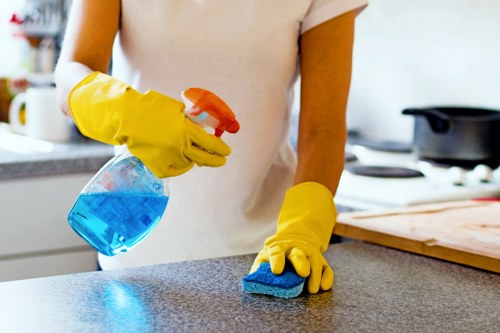 Cleaning burnt-on grease from an oven door in West London