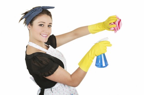 Professional cleaning of an entrance lobby in a W11 property