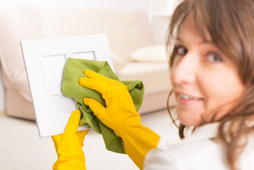 Professional cleaning of pet odour from upholstery in a West London property